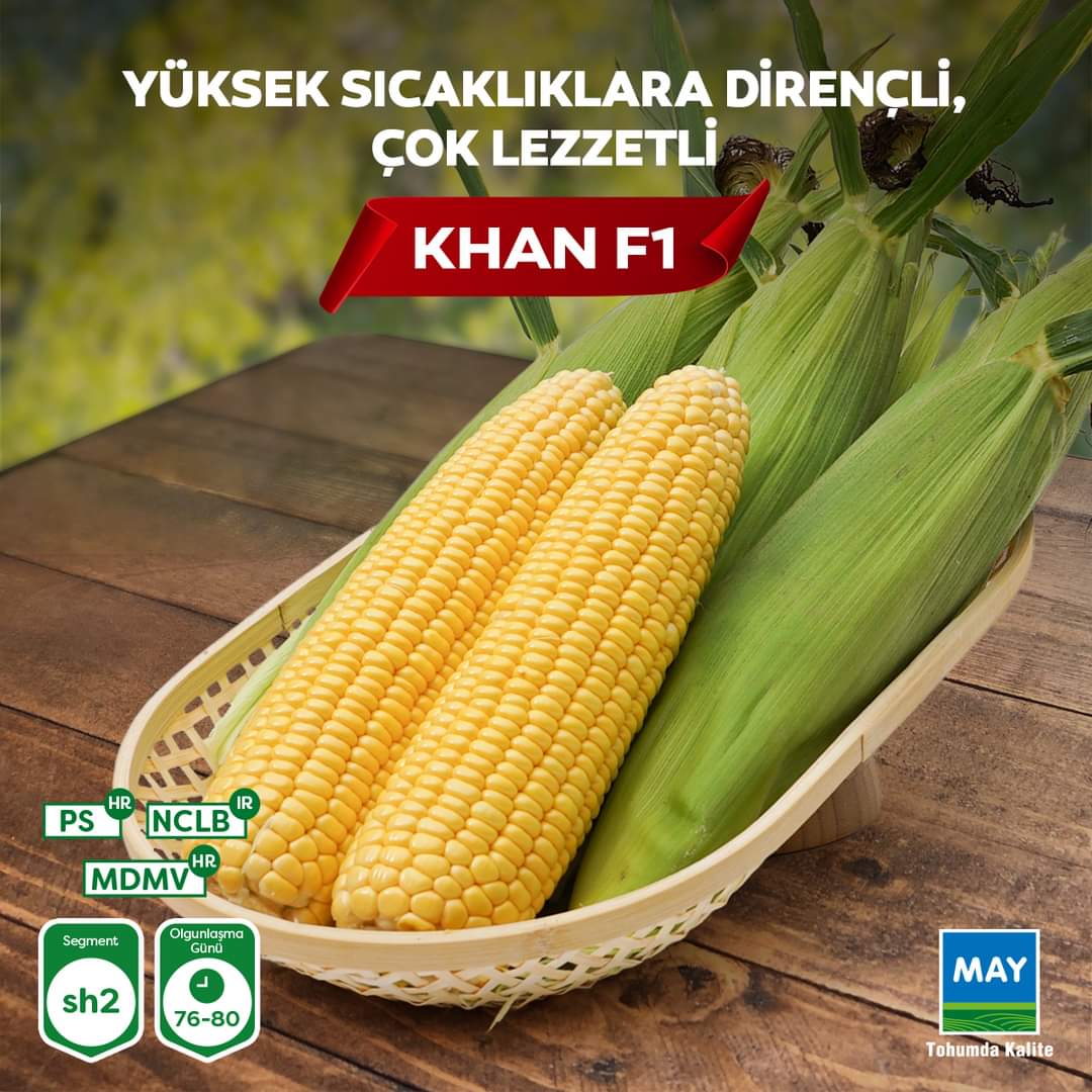 Khan F1