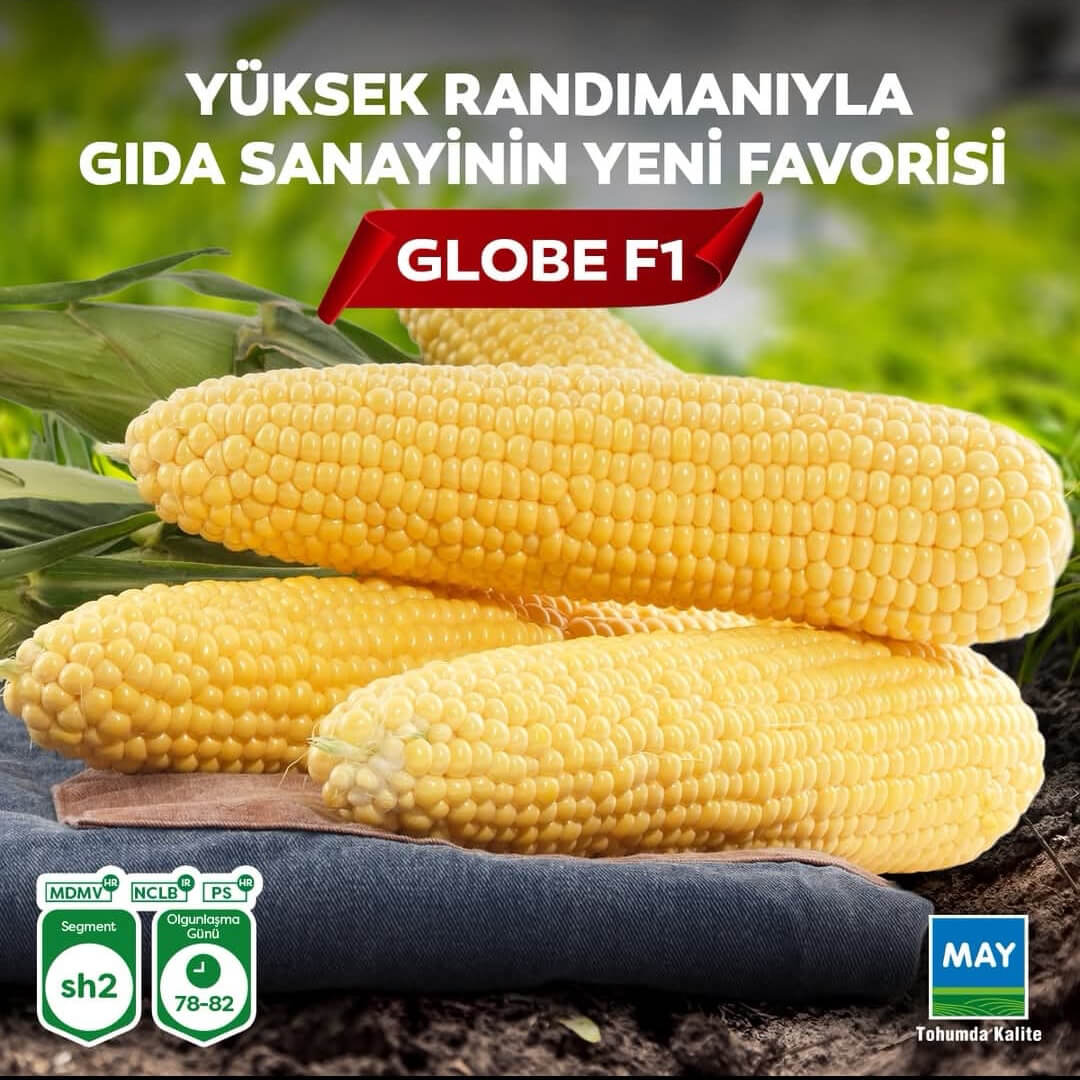 Globe F1