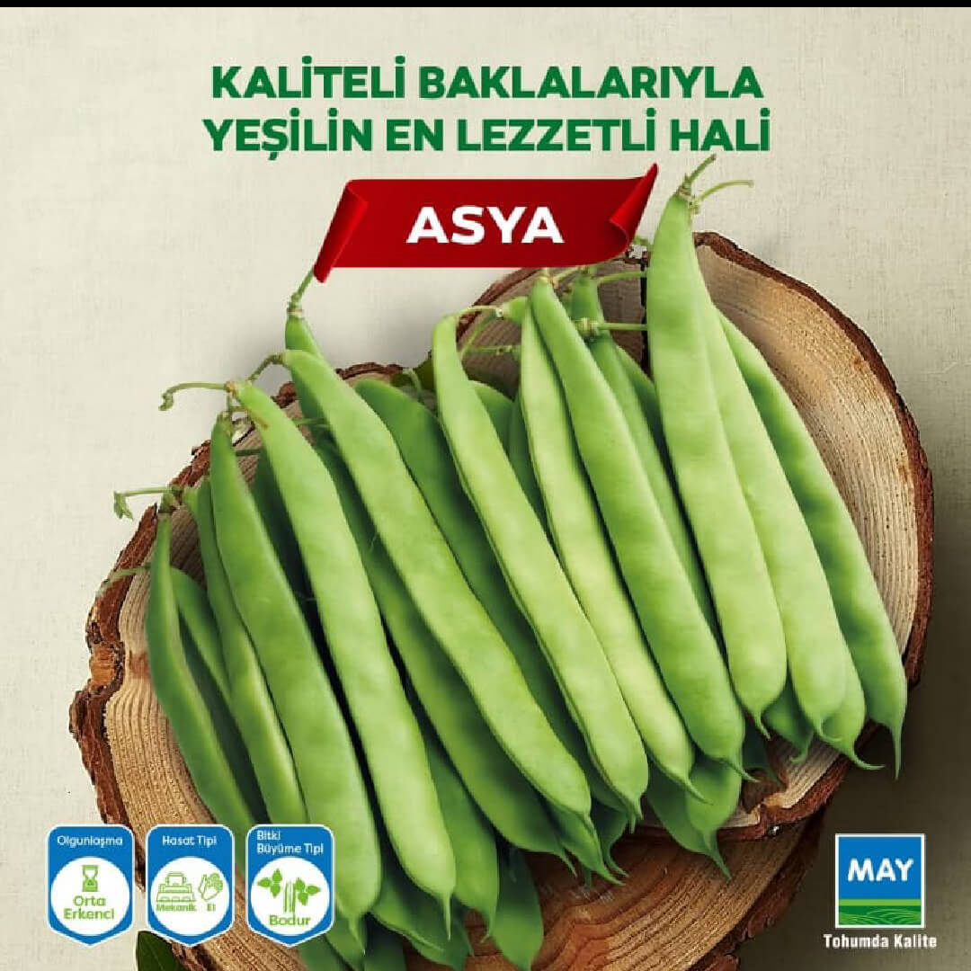 Asya