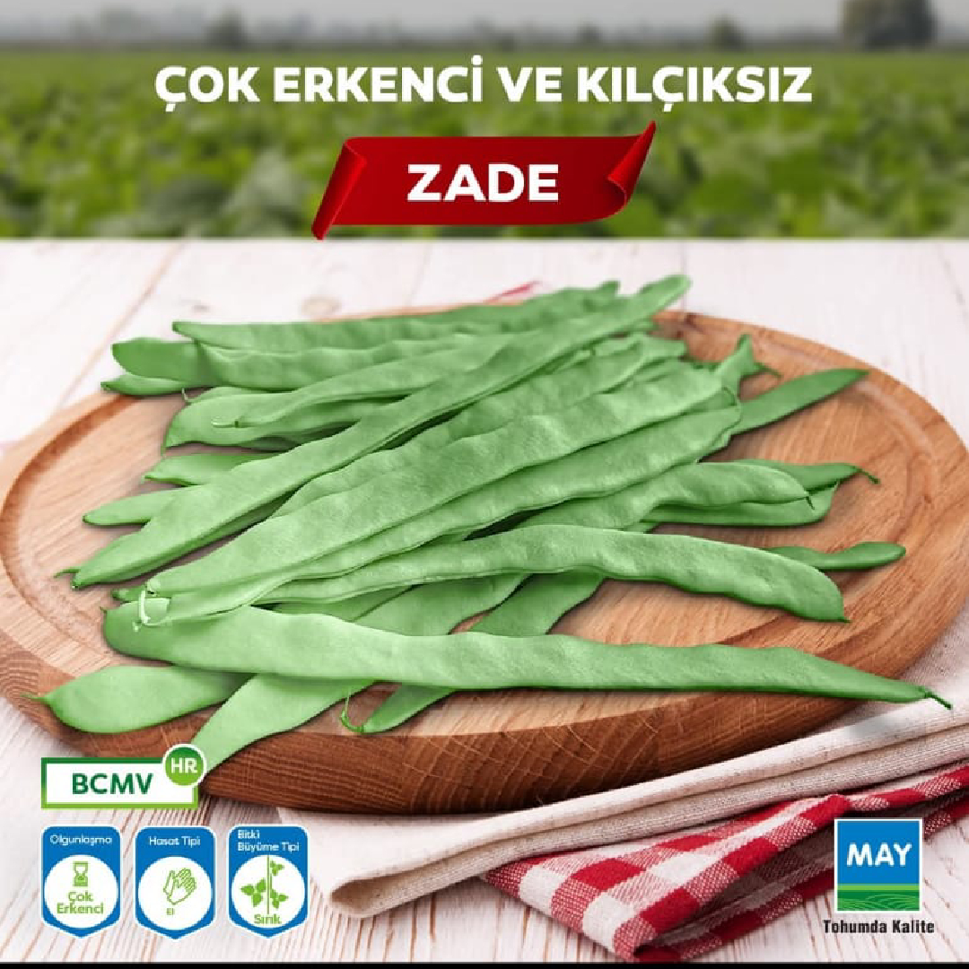 Zade