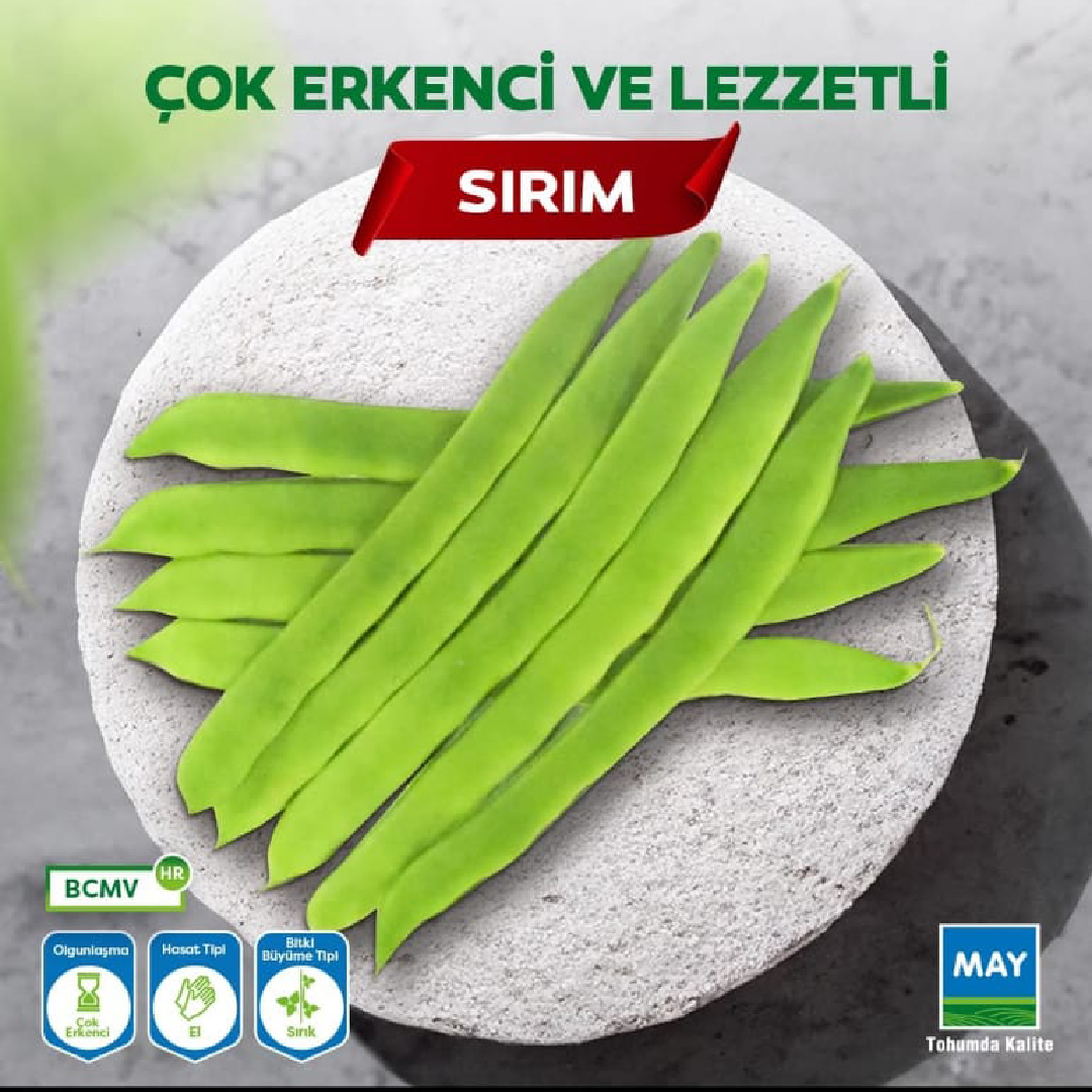 Sırım