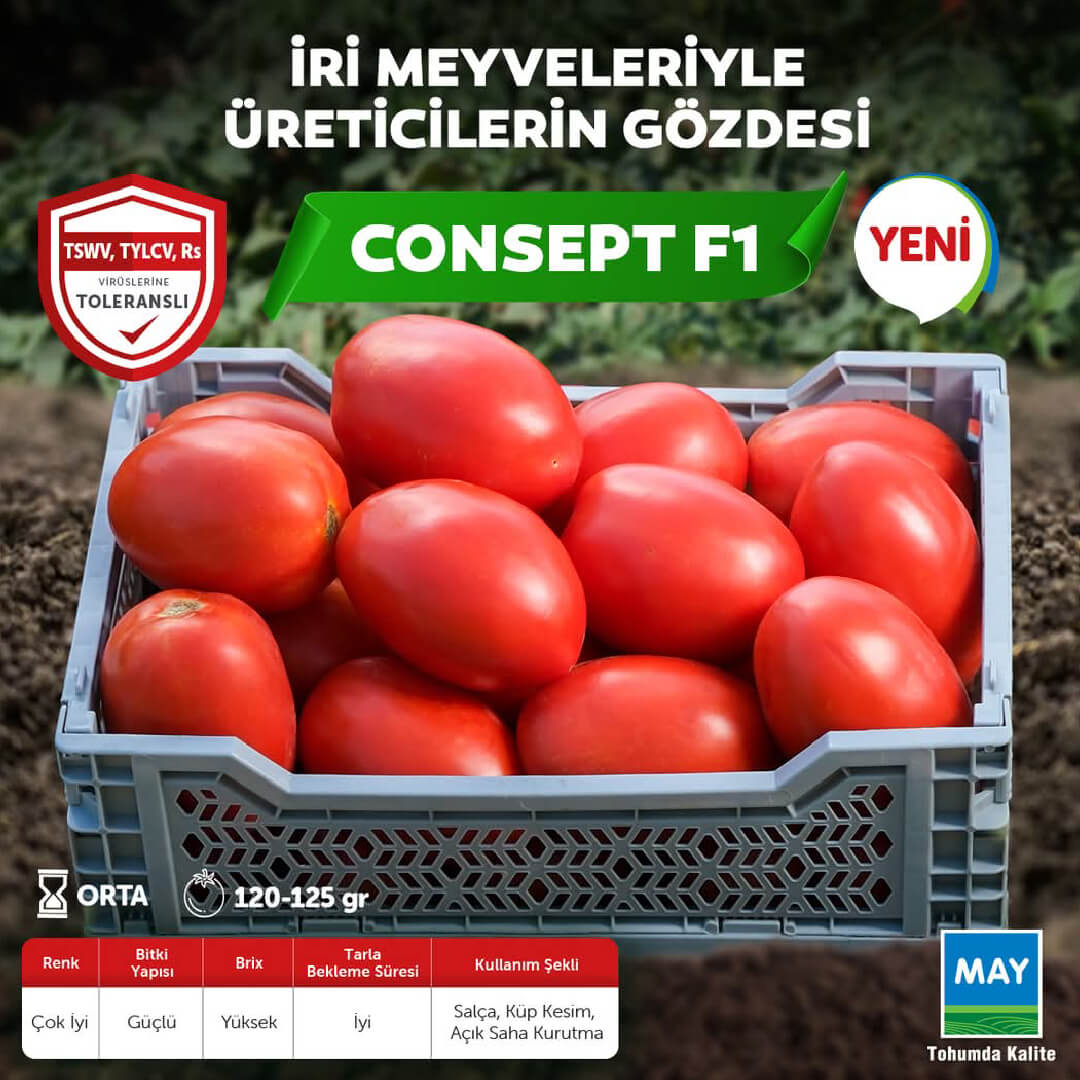 Consept F1