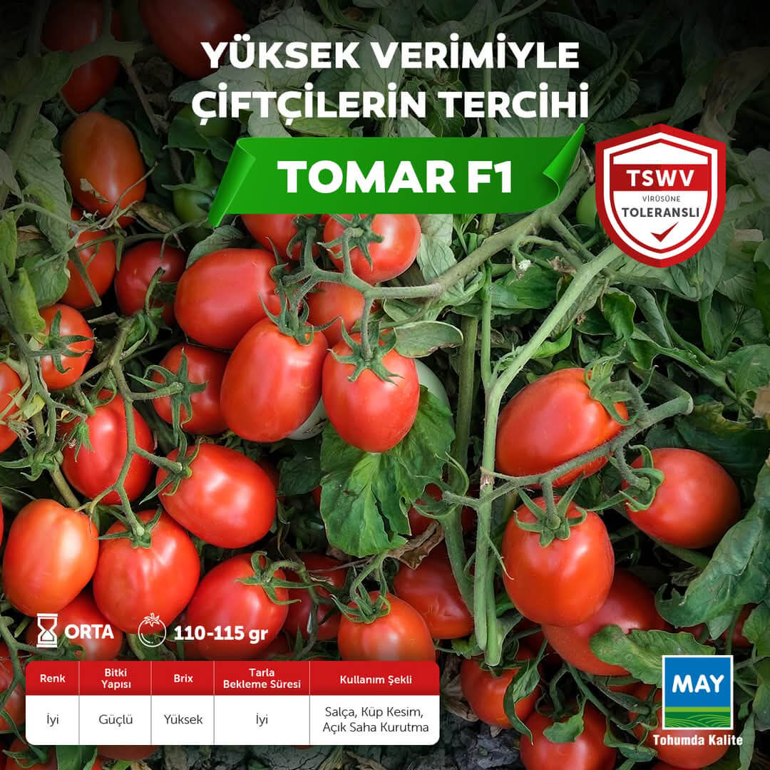 Tomar F1