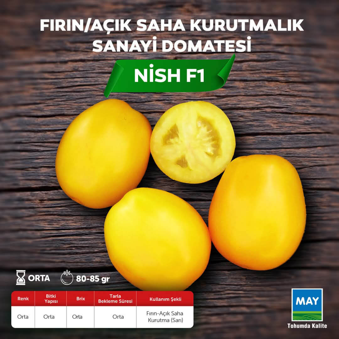 Nish F1